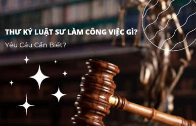 Thư Ký Luật Sư Làm Công Việc Gì? Yêu Cầu Cần Biết?